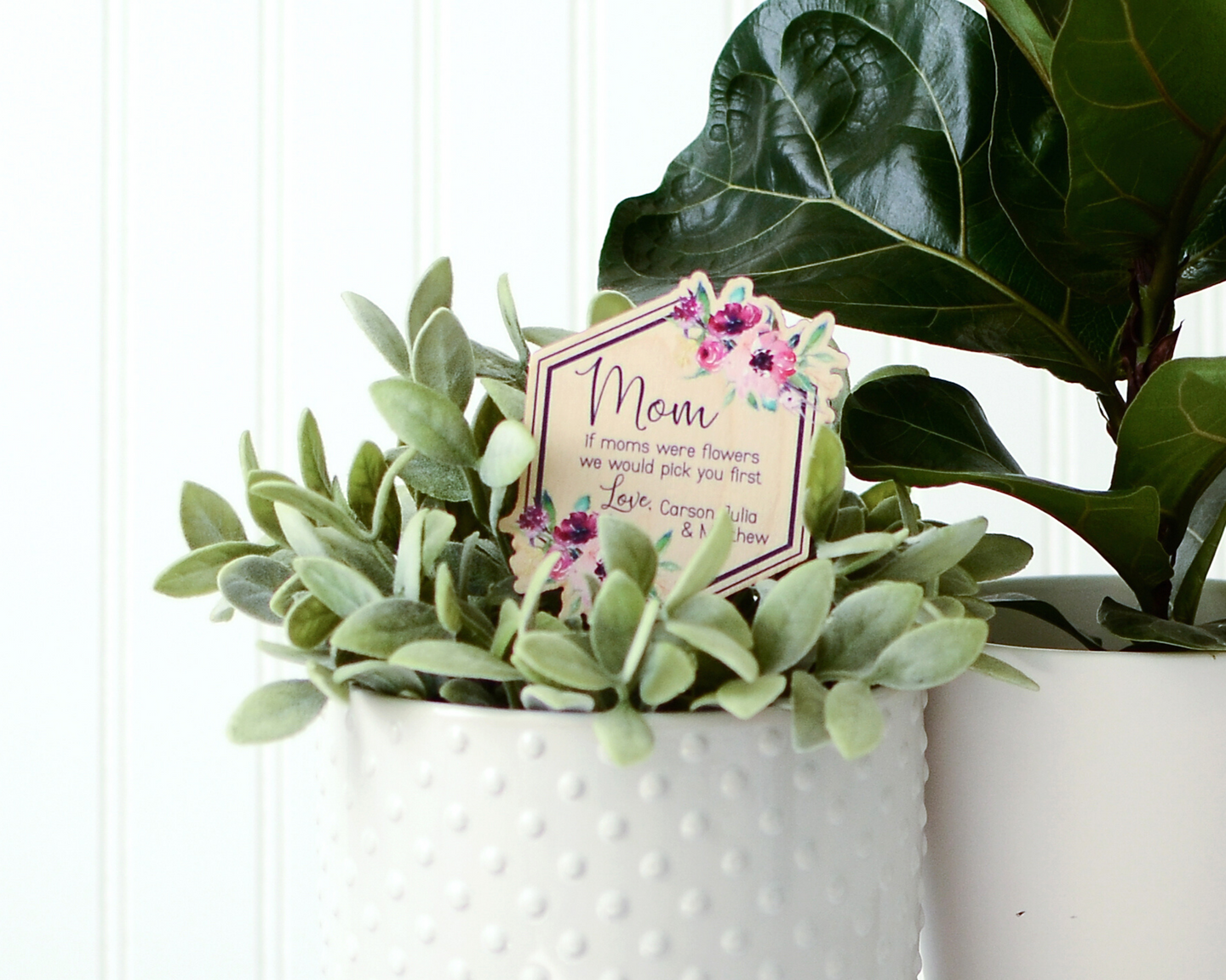 shot of plant stake in plant